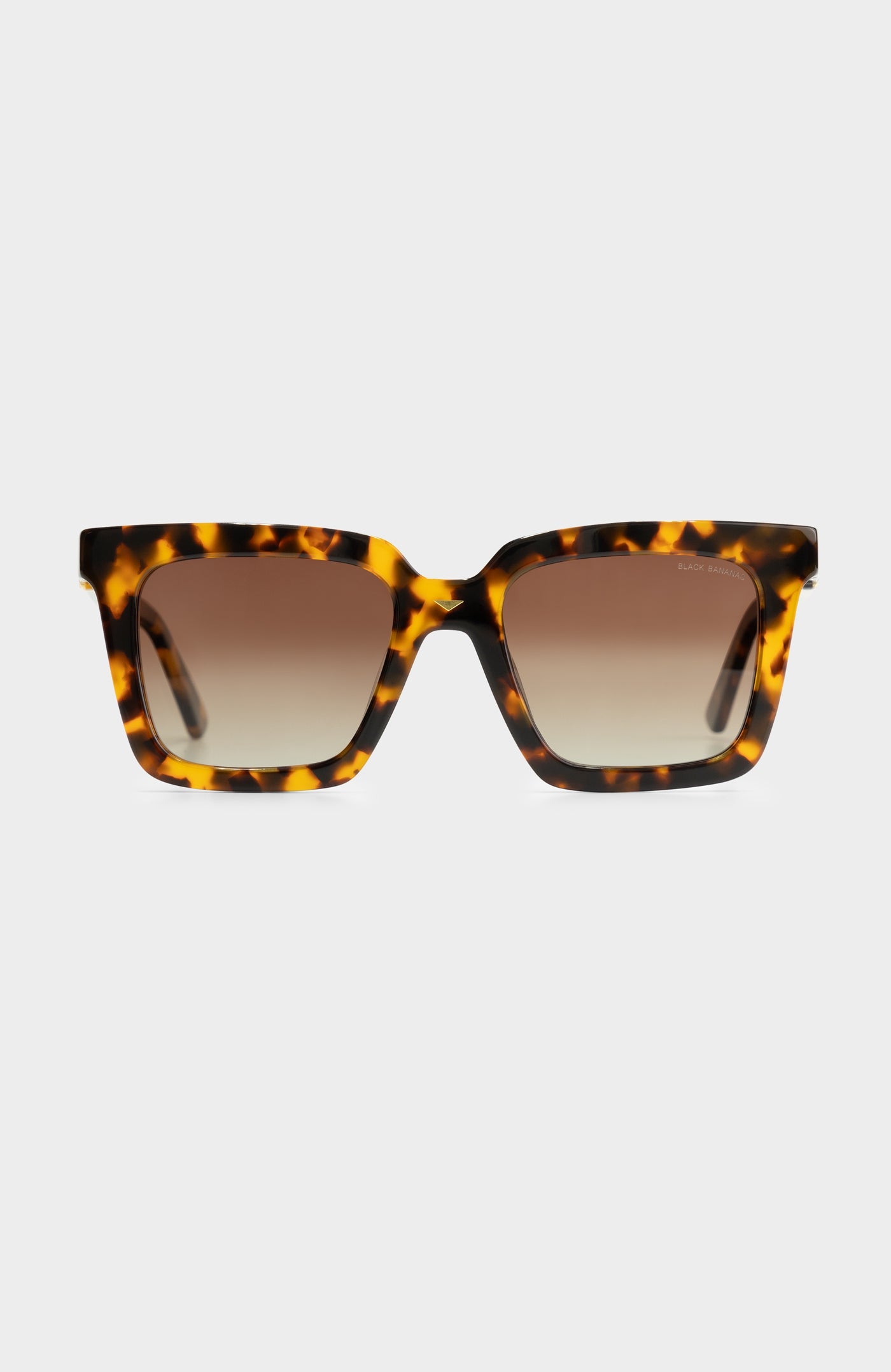 Squared II | Tortoise
