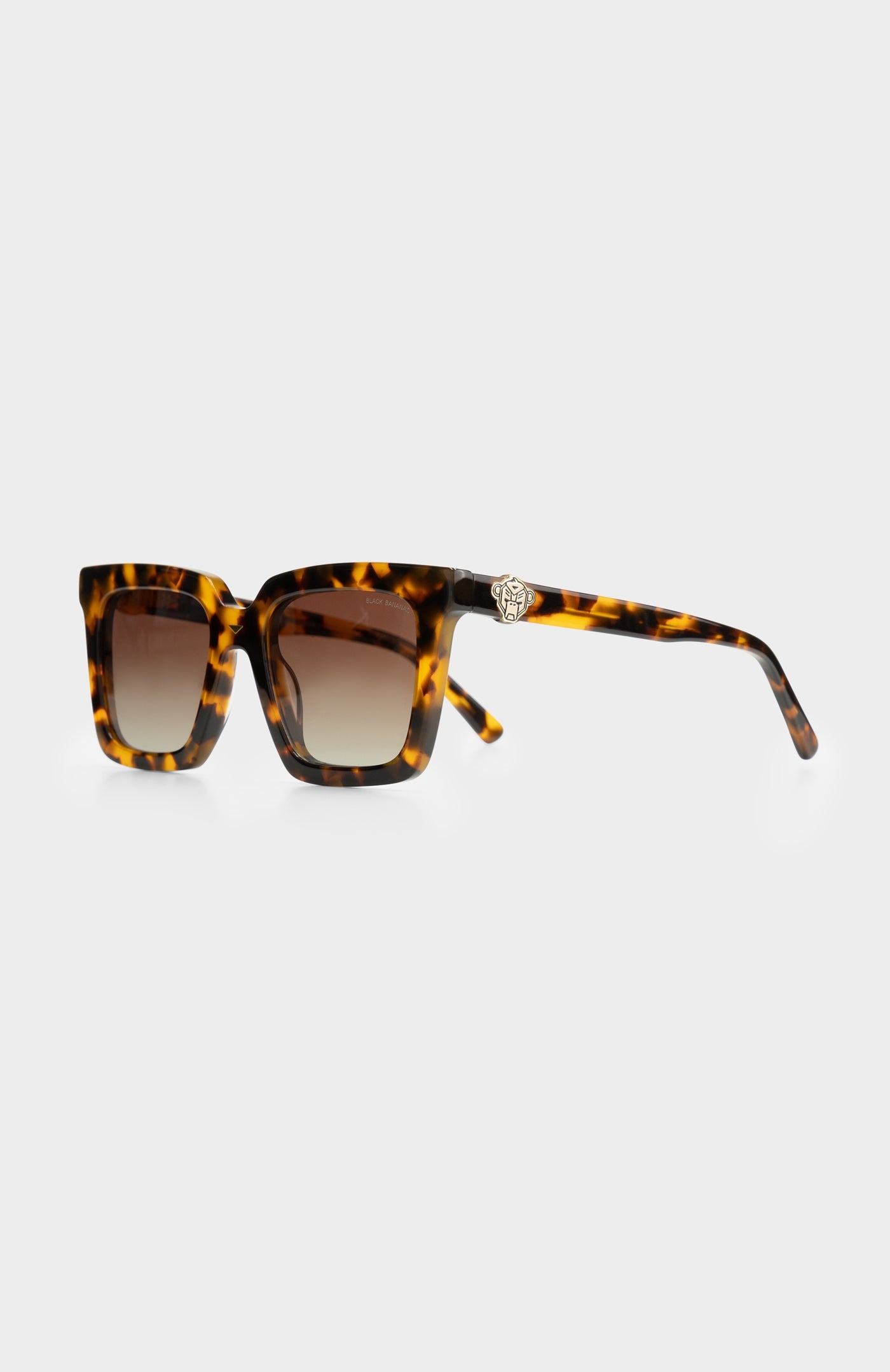 Squared II | Tortoise
