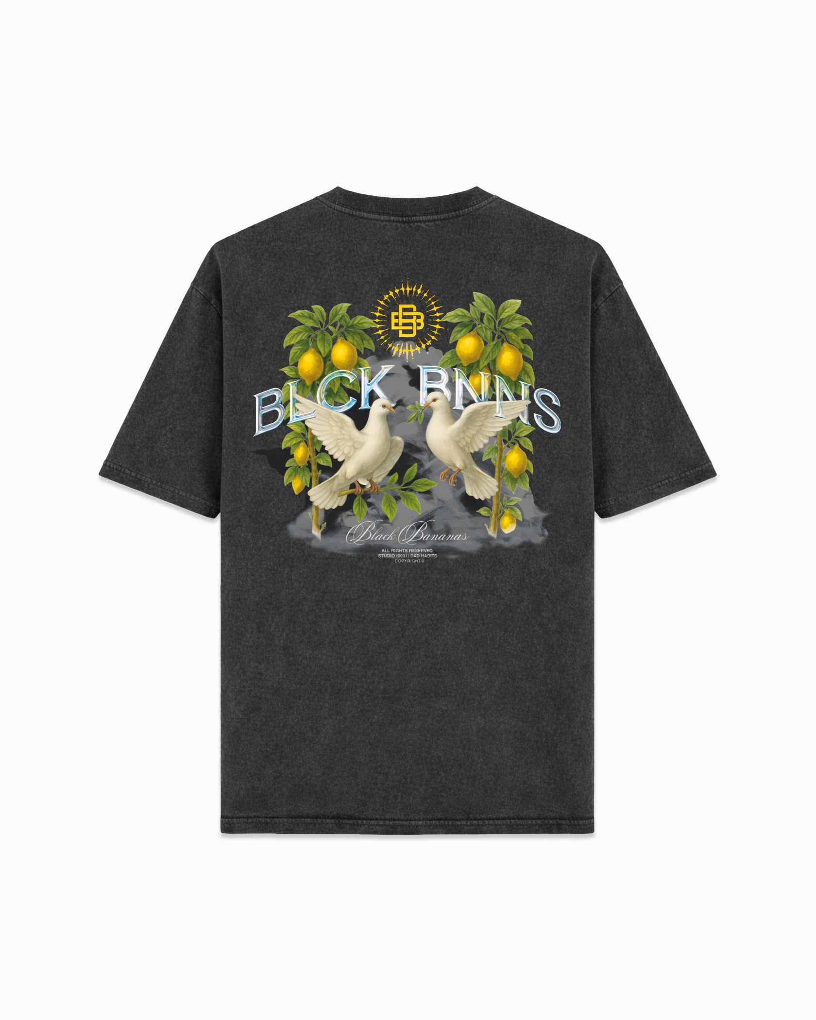 DOVES t-shirt  Zwart