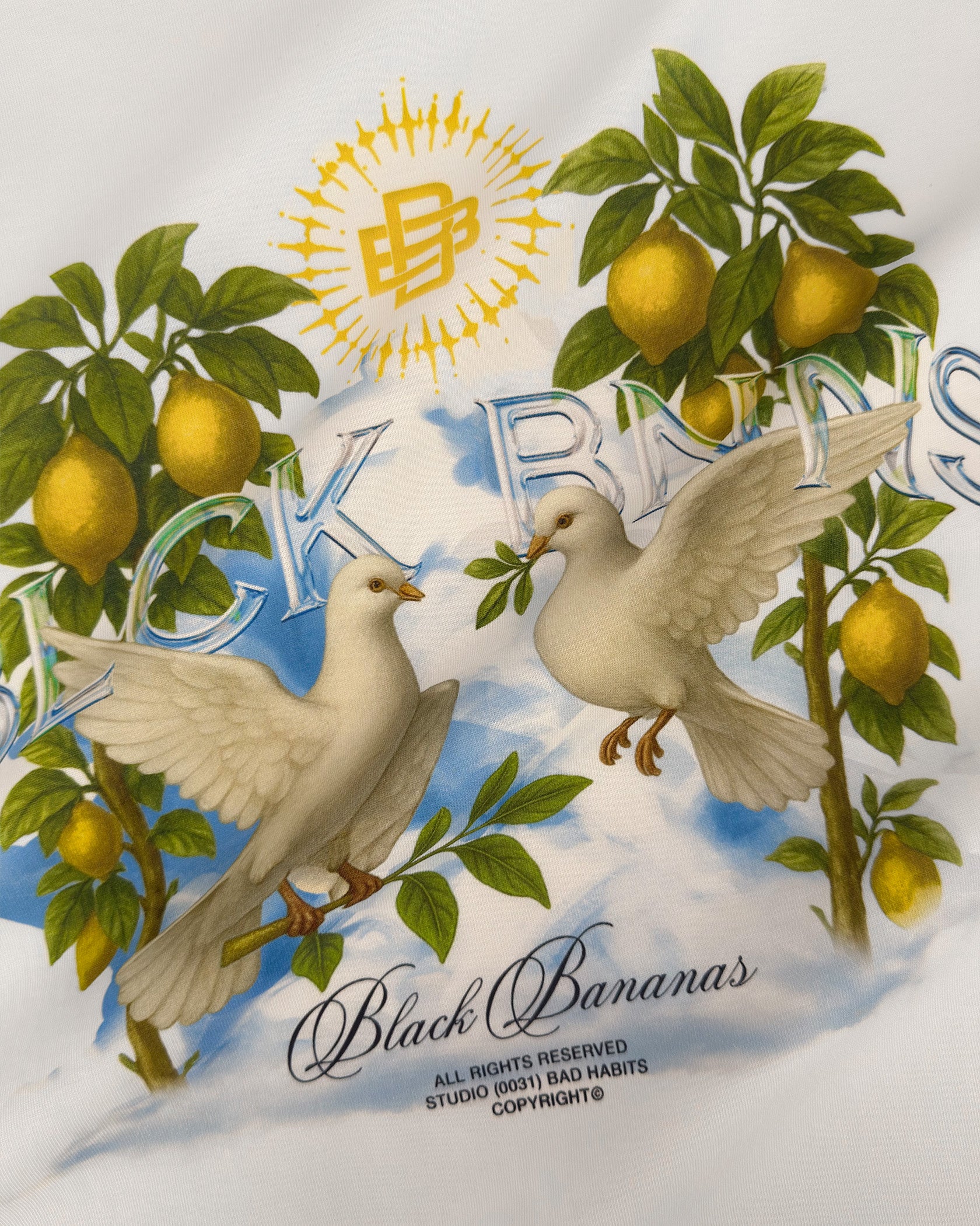 DOVES t-shirt  Wit