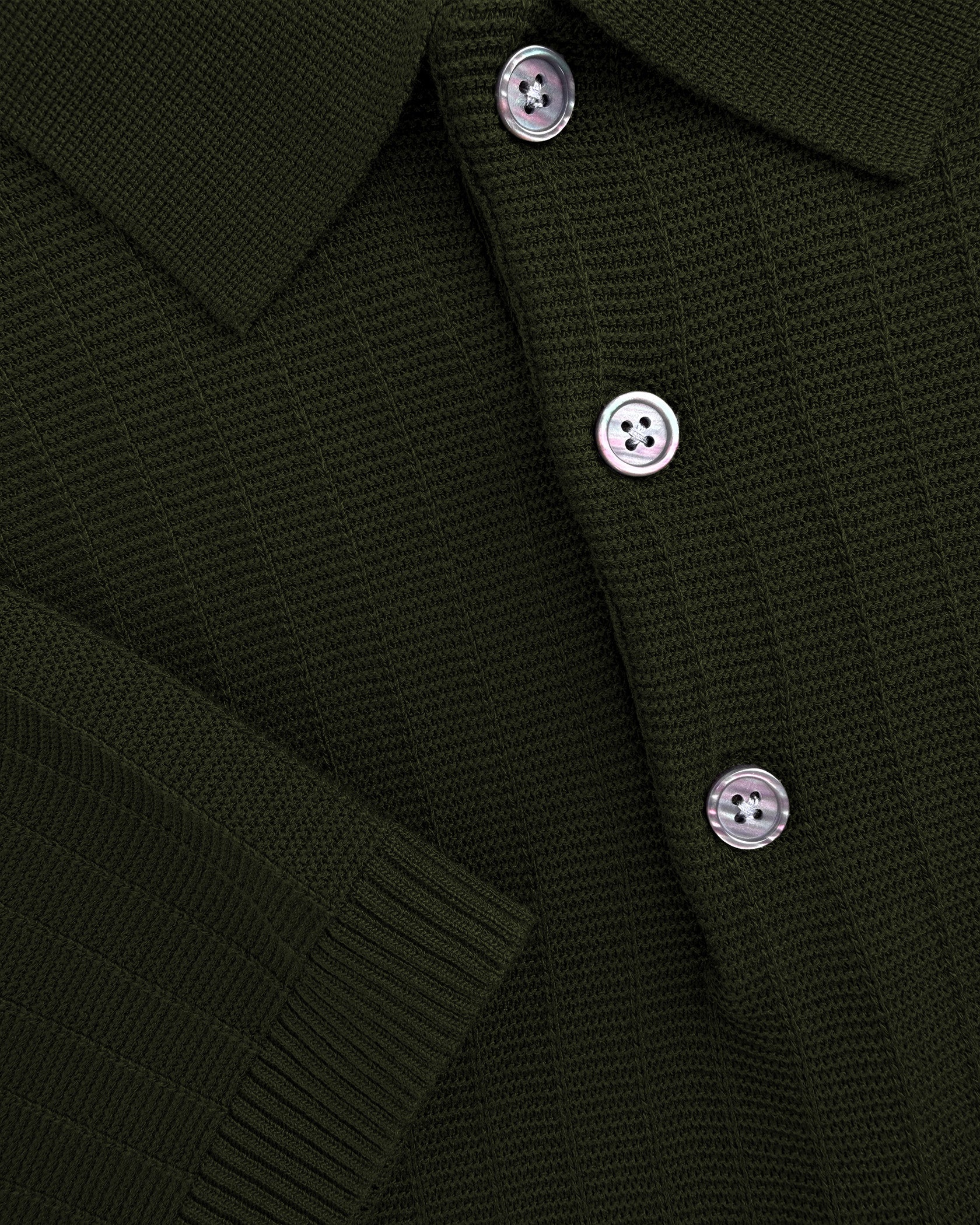 RIBBED KNIT POLO | Green